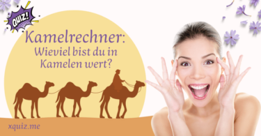 Kamelrechner: Wieviel bist du in Kamelen wert?