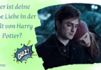 Wer ist deine große Liebe in der Welt von Harry Potter? test