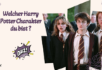 Welcher Harry Potter Charakter bist du ?