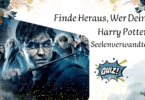 Finde Heraus, Wer Dein Harry Potter Seelenverwandter Ist?