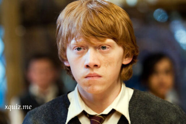 Wer aus Harry Potter liebt mich?