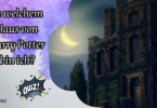 In welchem Haus von Harry Potter bin ich? test