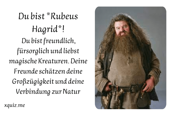 Welcher Harry Potter Charakter du bist ?🧙‍♂