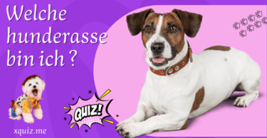 Welche hunderasse bin ich ? test