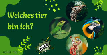 Welches tier bin ich? test