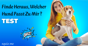 Finde Heraus, Welcher Hund Passt Zu Mir ?