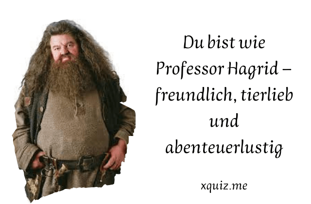 Welcher Hogwarts-Lehrer bist du? 🧙‍♂️