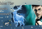 Welches Tier ist mein Patronus? test