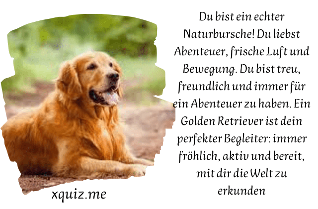 Welcher Hund Passt Zu Mir ? test